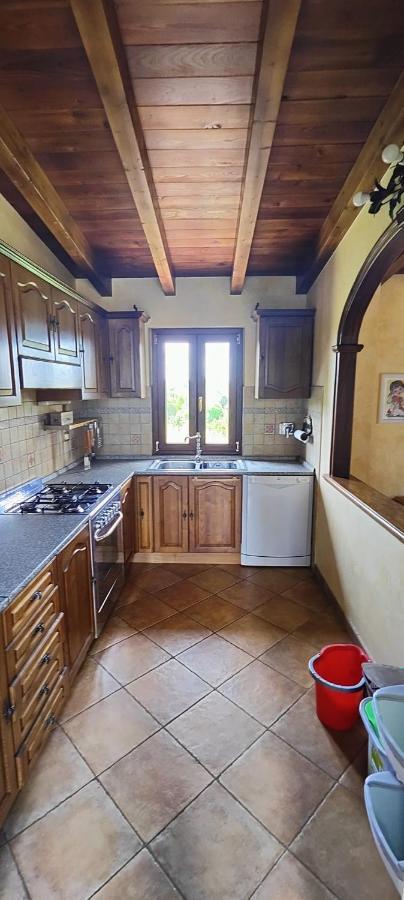 B&B Camera Delle Camelie Palestrina Exterior foto